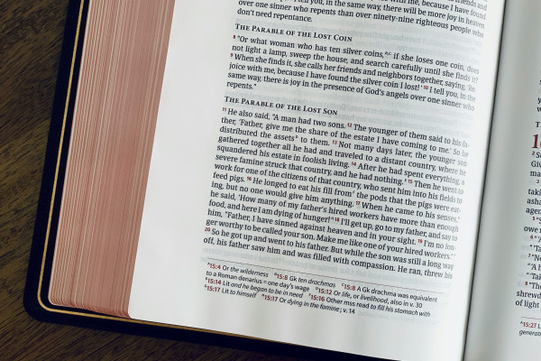Reflections From The Parable Of The Prodigal Son (Luke 15:11-32)